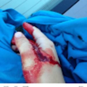 Meet your Posher, Mason